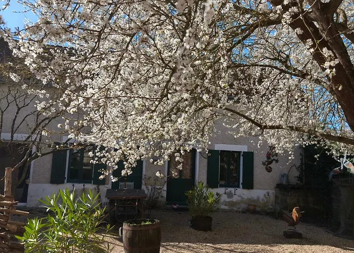 Le Cottage Des Sablons Pres Du Zoo De Beauval