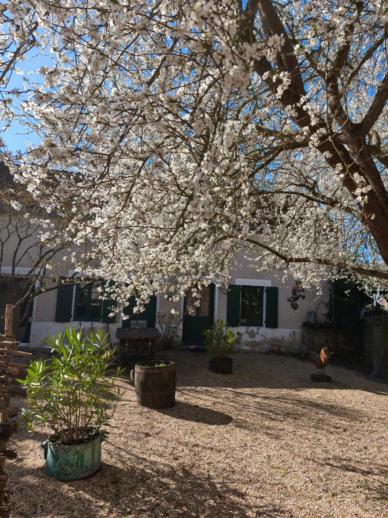 Le Des Sablons Pres Du Zoo De Beauval Holiday home Saint-Romain-sur-Cher